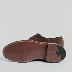 Alden - 9503 - Derby Camoscio - Tabacco<Collezione Scarpe Uomo Allacciate
