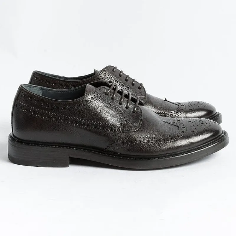 SEBOY'S - Derby - 2795 - Bufalo Testa Di Moro<Collezione Scarpe Uomo Allacciate