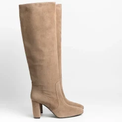 Via Roma 15 - Stivali 3434 - Camoscio Acero<Collezione Scarpe Donna Stivali